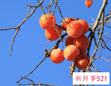 脸上起干皮吃什么水果