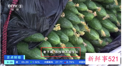 现在菜为什么比肉贵