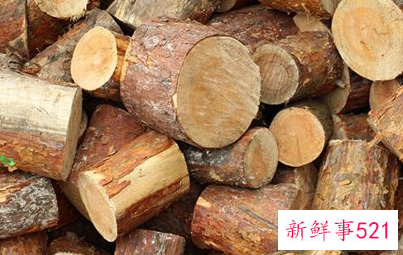 梦见木材仓库是什么意思