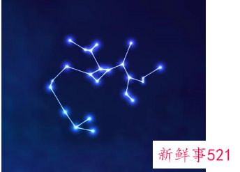 分不清主次自以为爱情就是生活全部的星座