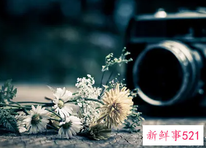 超好听的笔名女生