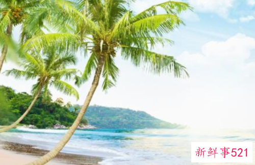 异性聊天会聊出感情