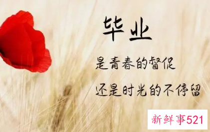 毕业煽情到哭的话语有