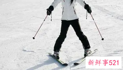 滑雪单板和双板哪个难