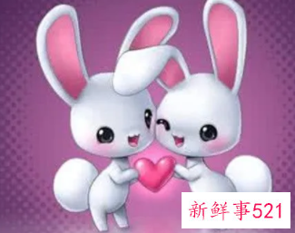 属兔男生配什么生肖女