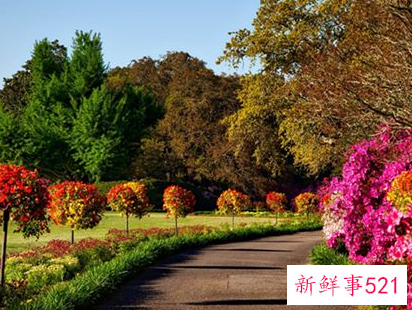 梦见庭院什么寓意