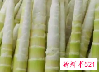 竹笋的功效与作用以及食用禁忌