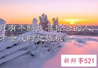 积极努力工作正能量的句子