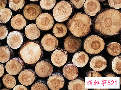 梦见木头木材有什么征兆