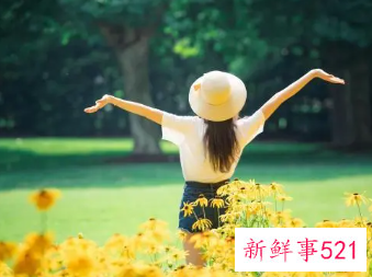 网名最新版的三字