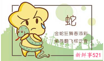 属蛇买几楼的选择