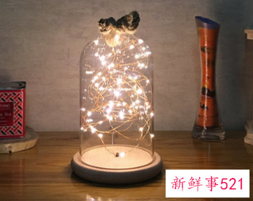 天蝎女喜欢什么礼物