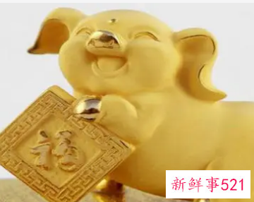 属虎男遇到属猪女好不好