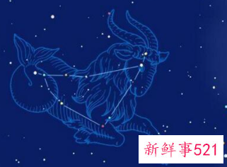 摩羯座为什么会在爱情中一败涂地