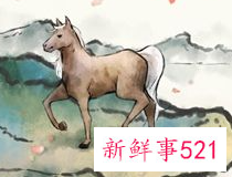 必生男孩的生肖女