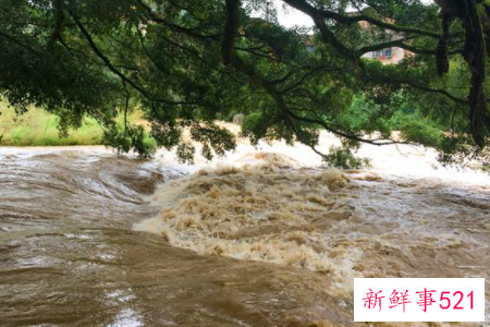 梦见山上发洪水