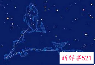 属狗双鱼座男生脾气好不好