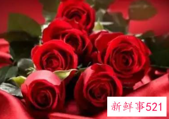 每种花代表女生的性格