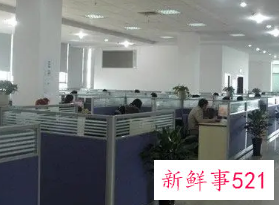 贸易公司名称大全集最新