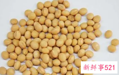 黄豆的功效与作用和副作用