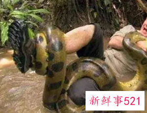 梦见蟒蛇缠身然后松开是什么意思