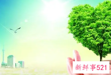 创业要负什么企业社会责任