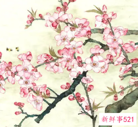 鲜花妙用助你平定敏感肌