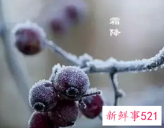 寒露和白露和霜降的区别