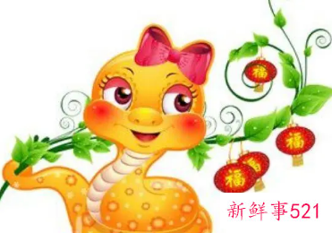 属猴女与属蛇男