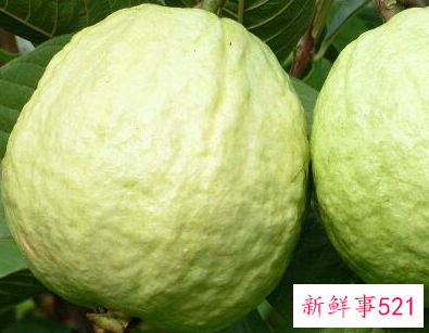 什么粥糖分低孕妇可以吃