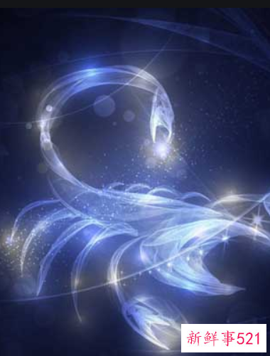 不敢跳槽会在一个公司做到头的星座