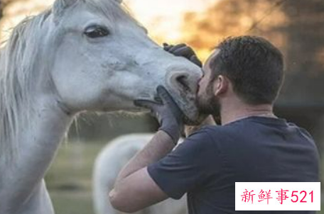 马比喻什么样的人