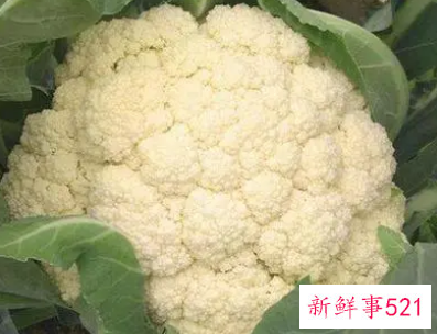 梦见花菜是什么意思