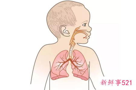 五步教您在家判断小儿肺炎
