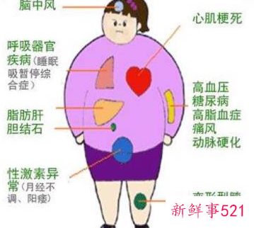 肥胖对身体的危害有哪些的