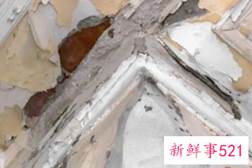 梦见卧室漏水了是什么征兆