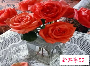 收到的鲜花怎么保存的久一点不会枯萎