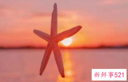 给女友的情话最暖心长句