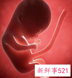 胎儿孕晚期股骨长每周长多少