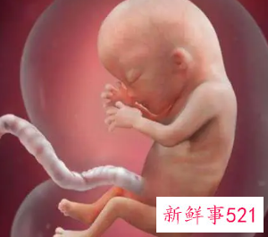 在妈妈肚子里一天顶外面一周吗