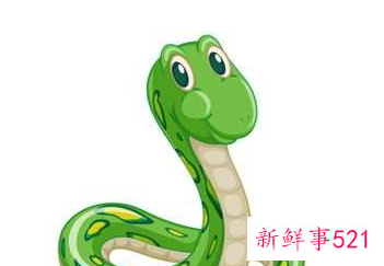 属蛇人容易得什么病