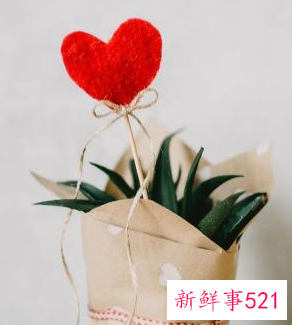 七夕表白的语录