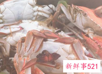 清蒸螃蟹的做法步骤