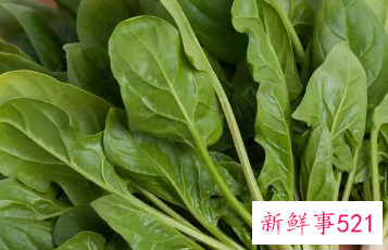 菠菜吃了对人体有害吗