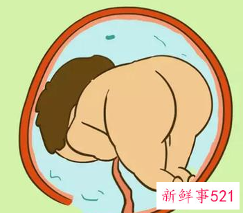 胎儿在子宫睡觉姿势