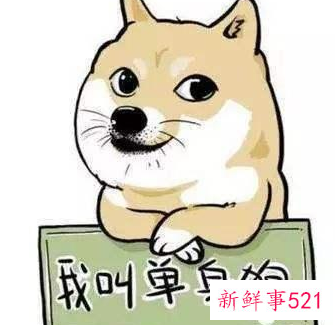 双鱼座异性缘极佳却为什么单身