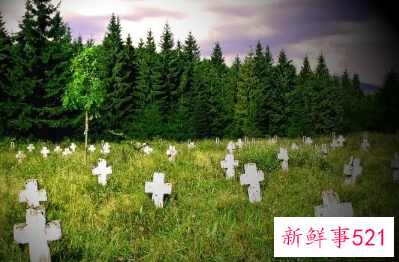 梦见棉花地里有坟墓