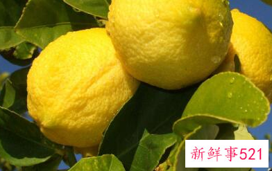 什么粥糖分低孕妇可以吃