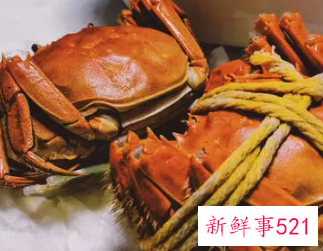 螃蟹和感冒药相克吗