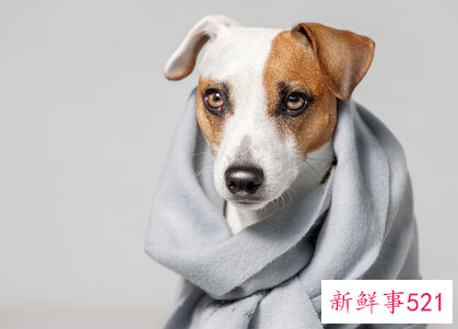 身上偶尔发冷怎么回事